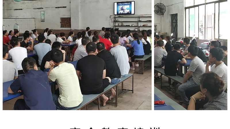 技能培训公司资质怎么查